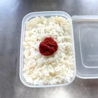 5/15  子の弁当|なかちゃんたまごさん