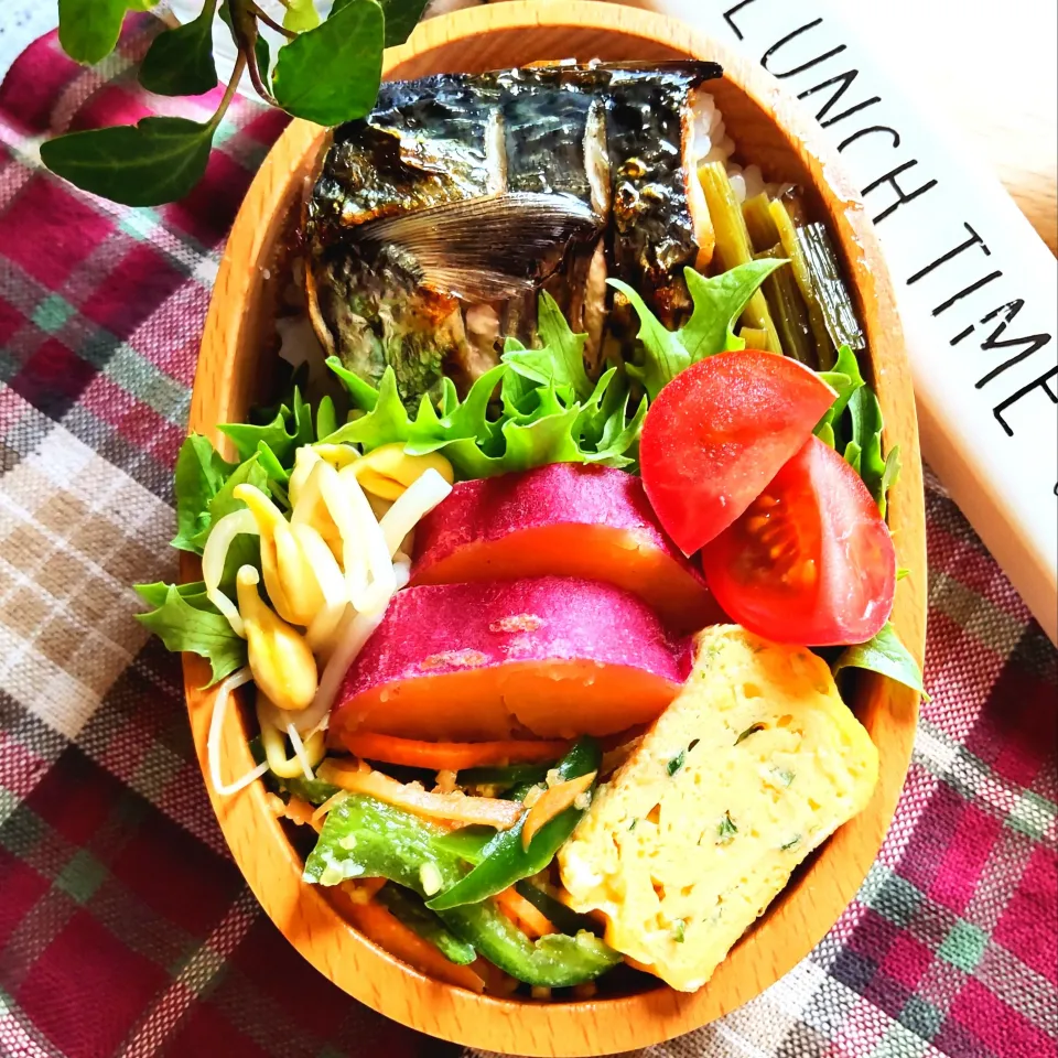 今日の自分弁当|わくさん
