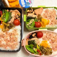 今日のお仕事&学校弁当♪2025.5.15|ぐぅさん