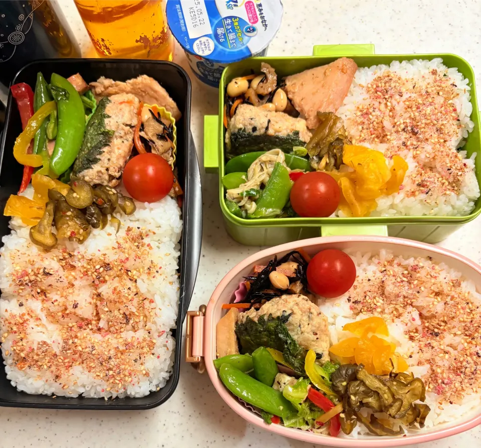 今日のお仕事&学校弁当♪2025.5.15|ぐぅさん