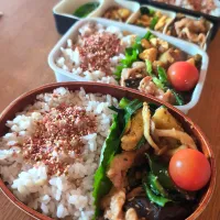 豚ナス甘辛炒め弁当