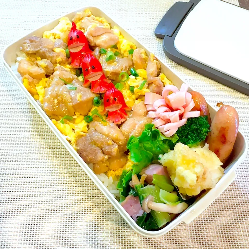 今日のお弁当|peiyaさん