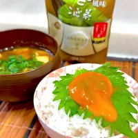 わさび風味こんぶ茶でコク旨TKG🍚