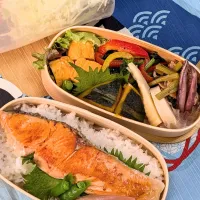 本日のお弁当〜鮭弁当| f.1125beさん