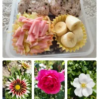簡単な自分弁当と昨日の散歩の🌼