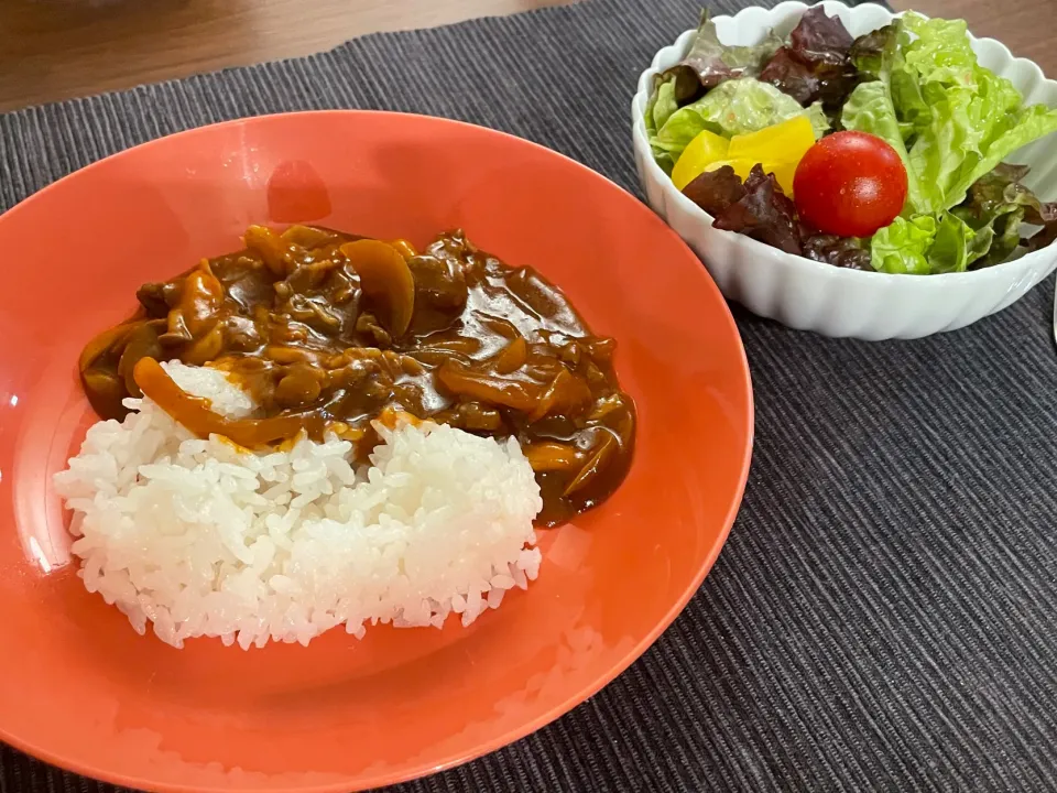 ハッシュドビーフのお夕飯🌛for kids|みーぬさん