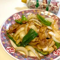 アルモンデ肉野菜炒めをヤミーコリアンホットで