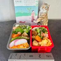 20250515🍱今日のお弁当🍱| akiyo22さん