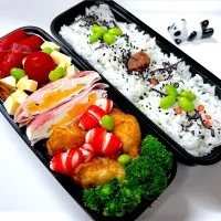 今日の弟のお弁当🍱です|パンダ🐼🐼パンダさん