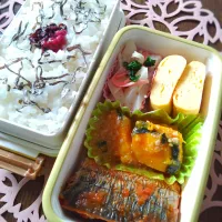 娘弁当🐟️|まめころさん