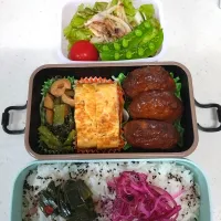 🍀2025/0516(金)ハンバーグ弁当|ともちんさん