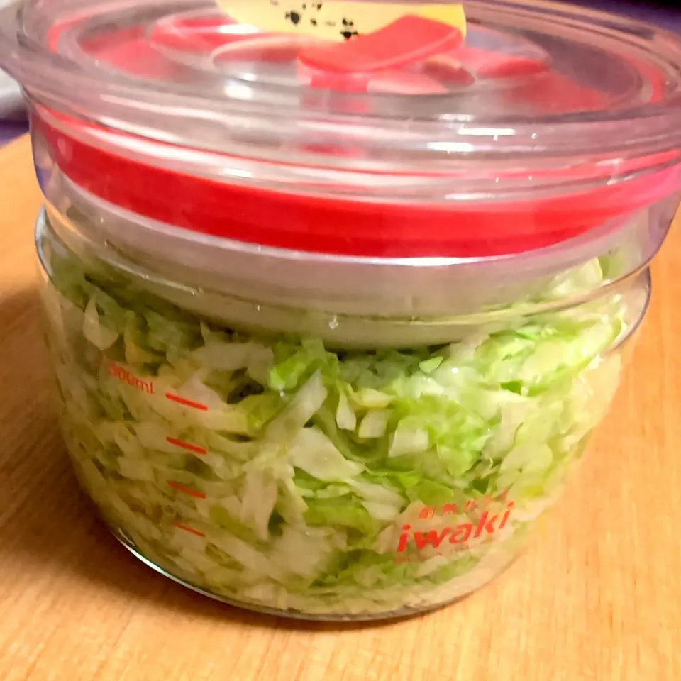ザワークラウト🥬|チョコさん