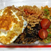 色々乗っけ弁当| 望さん