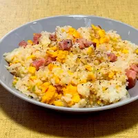 ねぎ塩炒飯|五郎さん