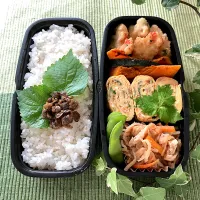 ＊パパのお弁当🍱＊|＊抹茶＊さん