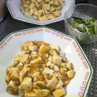 麻婆豆腐丼＆カイワレとキュウリのサラダ|テケテケさん
