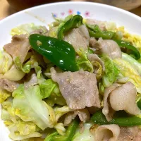 単身赴任中の男飯(回鍋肉)|おおもりの星さん