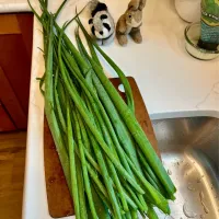 2025/5/17   農場から食卓へ　食卓から農場へ  From Farm to Table to Farm|19 Boys & 野鳥さん