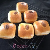 スクエアなバンズ✨|cocco+さん