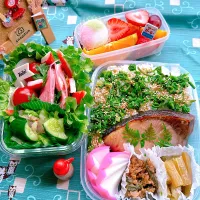 2025/05/18 鰤の幽庵焼きと山菜のお弁当|Blueberry🫐さん