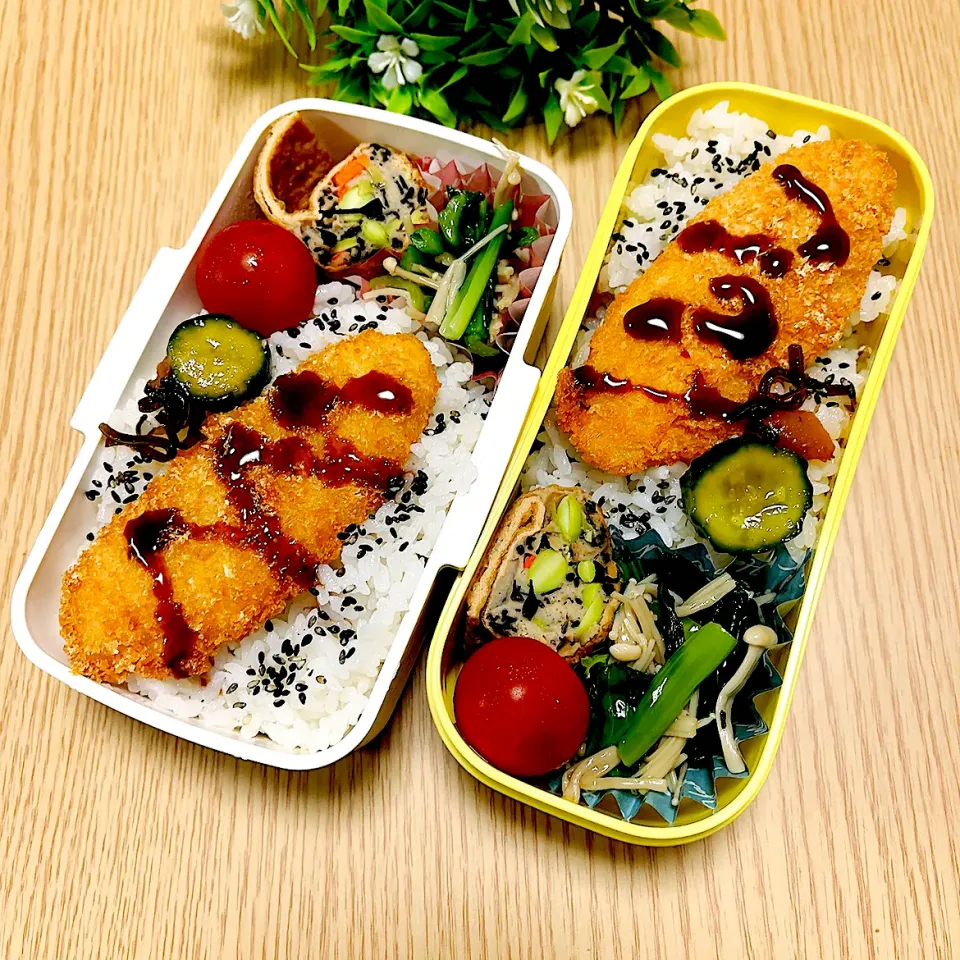 2025.5.13  お弁当|もっさんさん