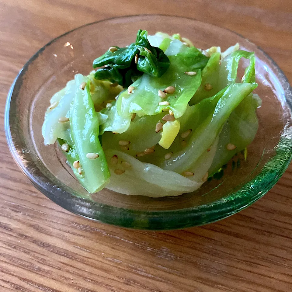 キャベツのナムル|ここここのかさん