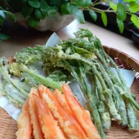 天ぷら　うど、ネギ坊主、ワラビ、🥕