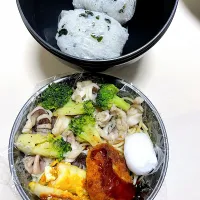 父が作る長男弁当🍱|父が作る弁当さん