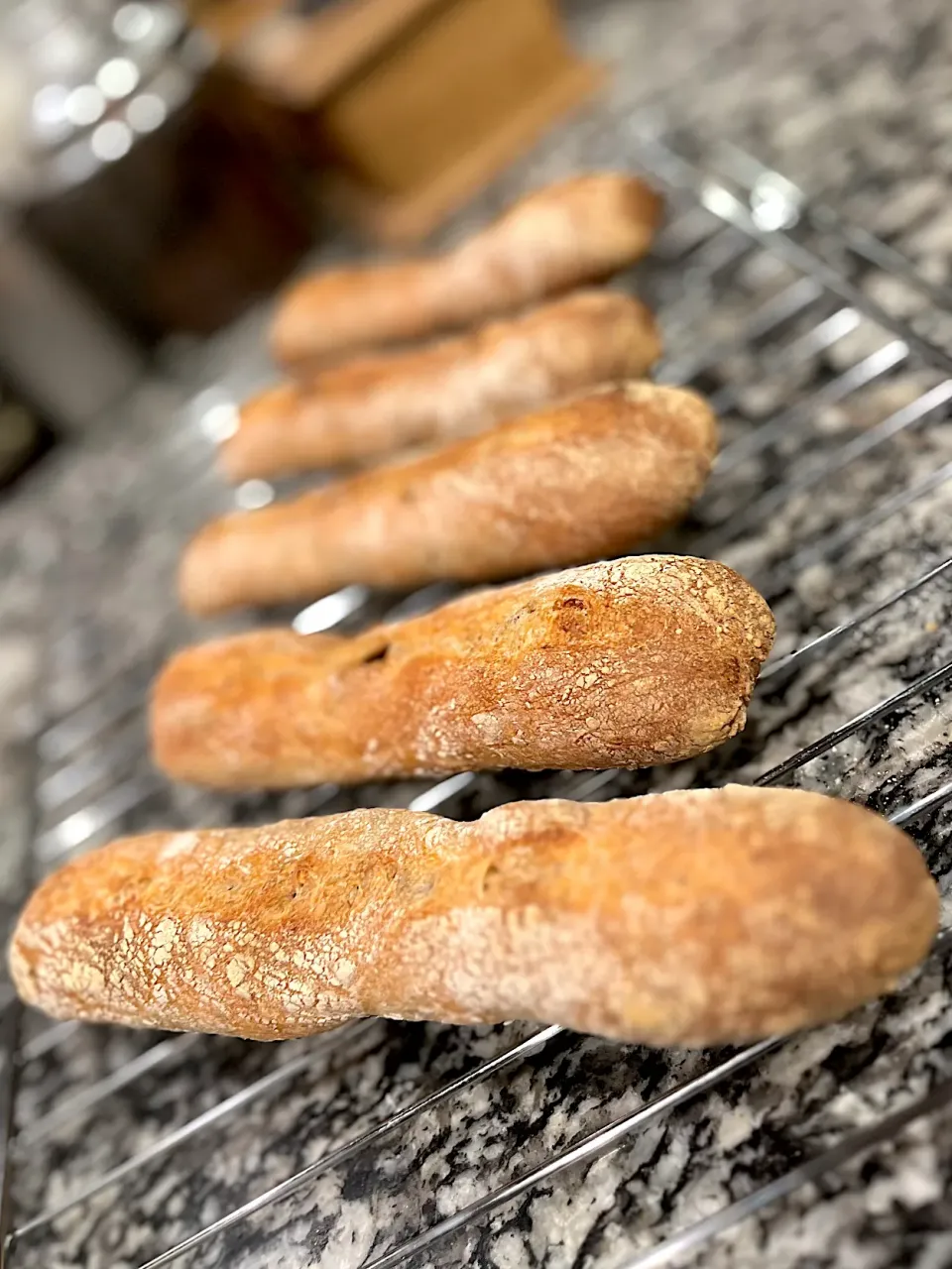 胡桃とレーズンのスティックカンパーニュ🥖Bâton noix raisins|アッコちゃん✨さん