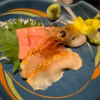 御造🐟|buhizouさん