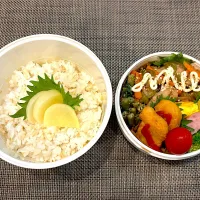 高校生息子のお弁当🍱 豚の生姜焼き弁当🍱|Snow10さん