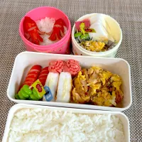娘弁当|ゆーこ。さん
