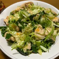 鳥🐔胸肉の野菜炒め❗️( ^ω^ )✨