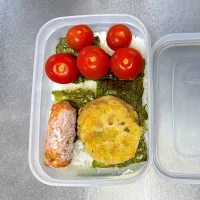 5/19  自分弁当|なかちゃんたまごさん