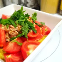 夏野菜たっぷり冷やしラーメン🍅|masaki .fさん