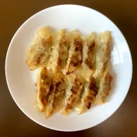 ドリームフーズ なにわのうす皮肉餃子|ばーさんさん