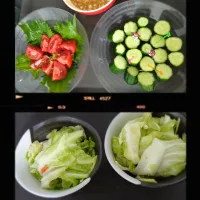 今日の野菜たち