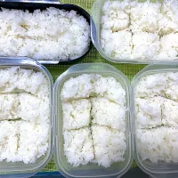 一週間分の弁当ご飯|単身赴任のっちさん