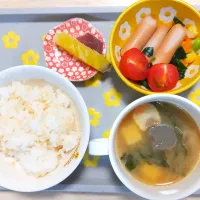 2025 0519　こどものごはん|いもこ。さん