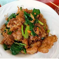 Stir-fried Rice Vermicelli w/ Soy Sauce & Pork aka Sen Mee Pad See Ew Moo (เส้นหมี่ผัดซีอิ๊วหมู) 🥢🤤|An'leeさん