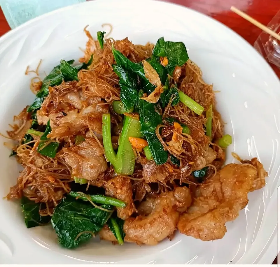 Stir-fried Rice Vermicelli w/ Soy Sauce & Pork aka Sen Mee Pad See Ew Moo (เส้นหมี่ผัดซีอิ๊วหมู) 🥢🤤|An'leeさん