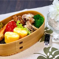 今日のお弁当 25/05/20|しげさん