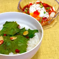 大葉丼 ポーチドエッグで冷奴|五郎さん