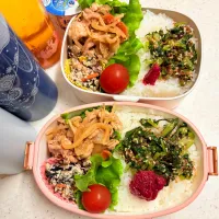今日のお仕事弁当♪2025.5.20|ぐぅさん