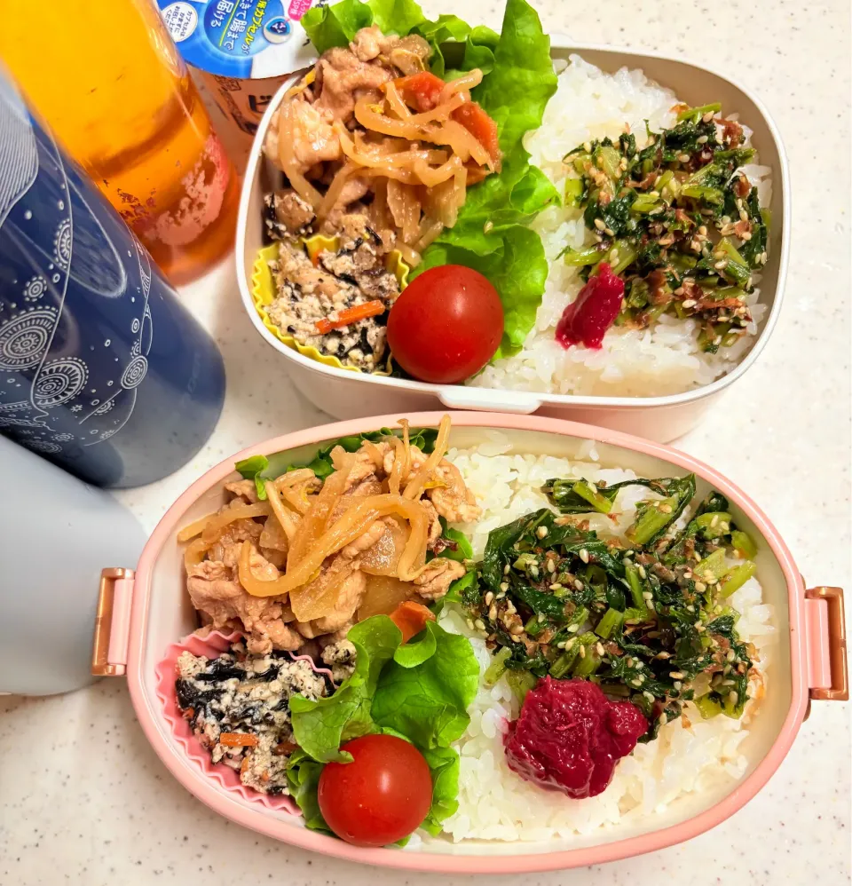 今日のお仕事弁当♪2025.5.20|ぐぅさん