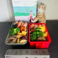 20250520🍱今日のお弁当🍱|akiyo22さん