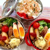 今日のヤツのお弁当（R7.5.20）|え〜かさん