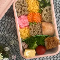 モザイク女子弁当|chikaさん