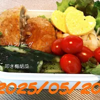 今日のお弁当|めー🍳さん