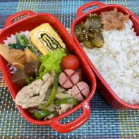 今日の旦那さんのお弁当|naoさん